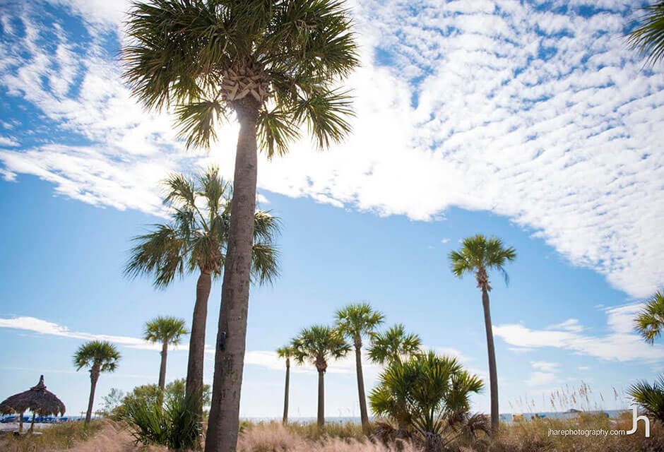 St. Pete Shores Hotel on St Pete Beach