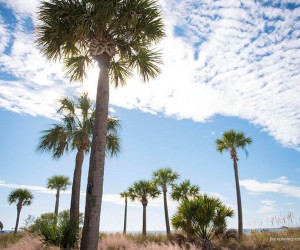 St. Pete Shores Hotel on St Pete Beach