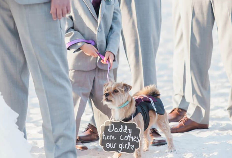 St. Pete Shores Hotel wedding