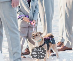 St. Pete Shores Hotel wedding