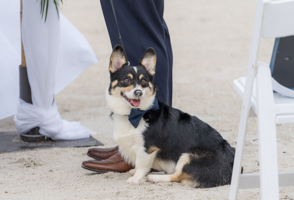 Florida beach wedding details at St. Pete Shores Hotel