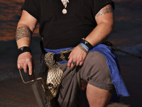 St. Pete Shores Hotel Image